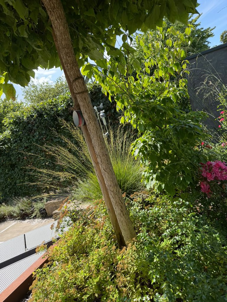 Gartenansicht aus einem ausgeführten Außenanlagenprojekt